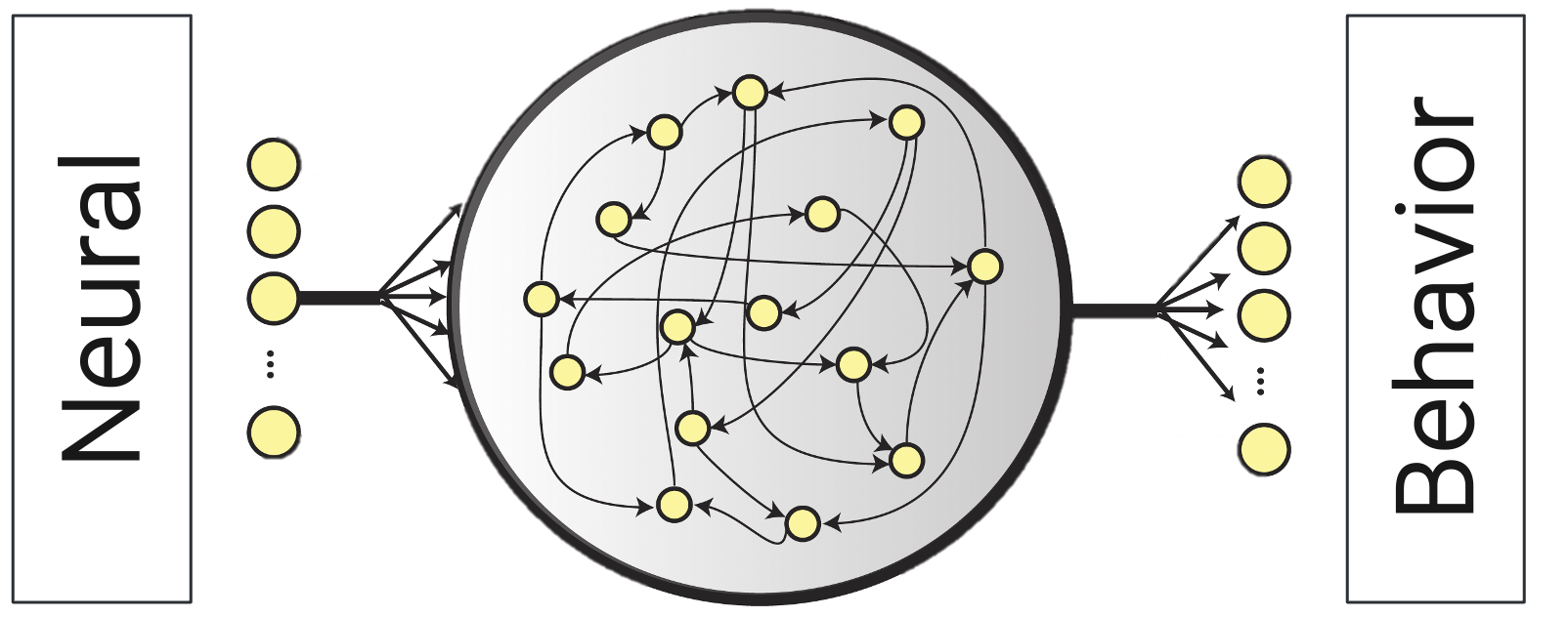 NeuralNetworks